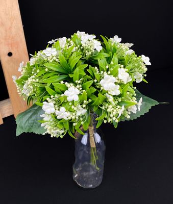 Valkoinen lemmikkikimppu