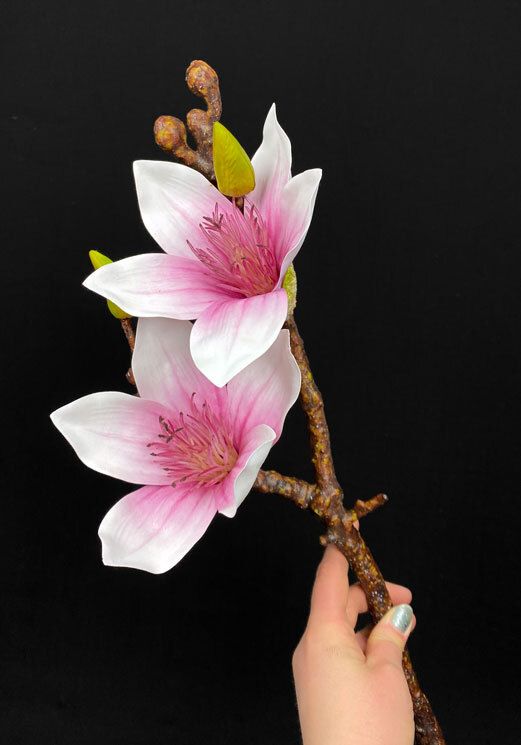 Upea magnolia tekokukka, viininpunainen