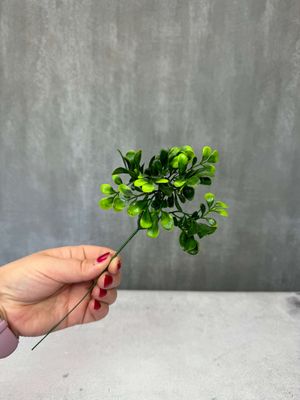 Varpukasvin teko-oksa, vihreä