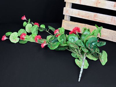 Pelargonia tekokukka-amppeli, punainen