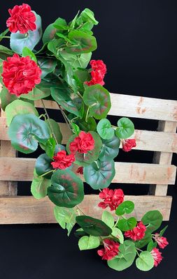 Pelargonia tekokukka-amppeli, punainen