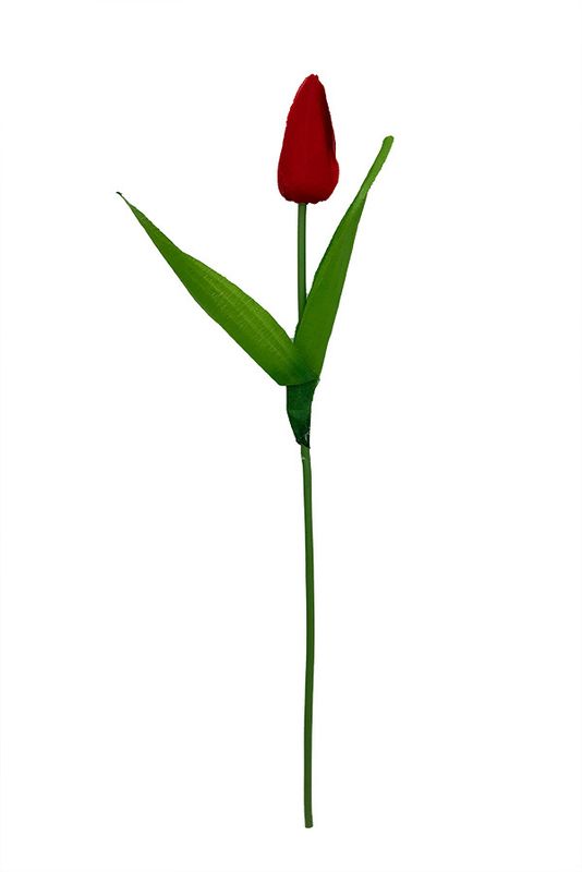 Tulppaani kestokukka
