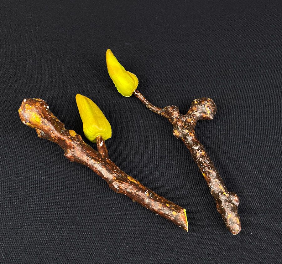 POISTOTUOTE: magnolian tekonuppuoksa 2kpl