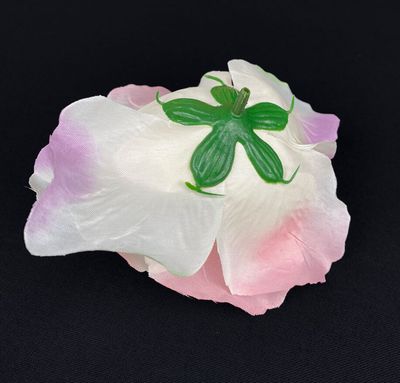 Pensasruusu-kukkapää, kerma/rosa
