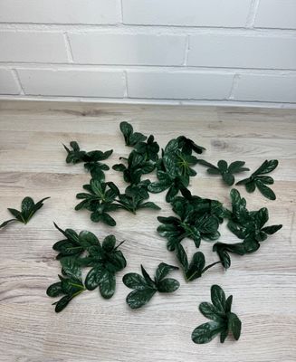 POISTOTUOTE: tummat tekolehdet 30kpl