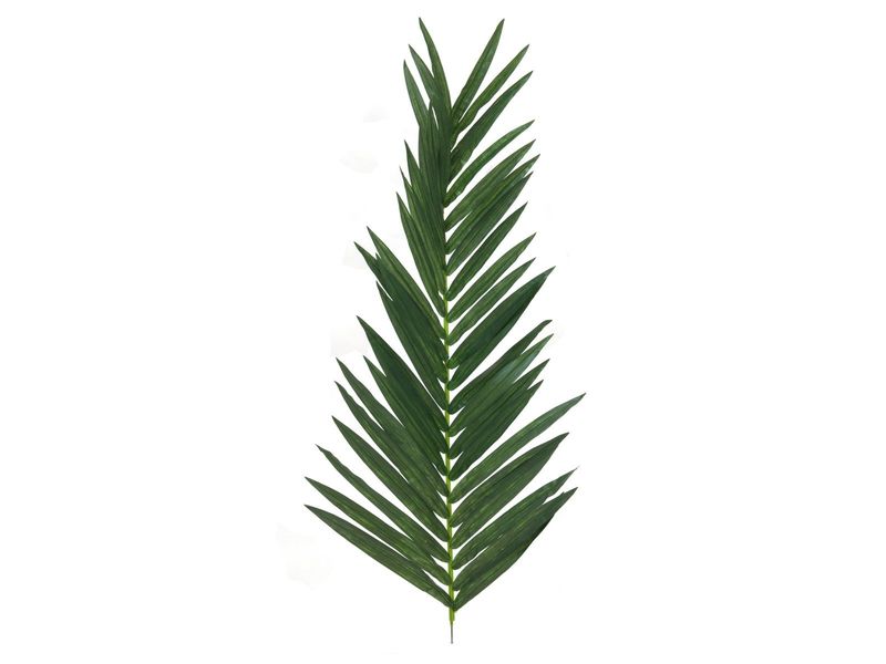 Palmun tekolehti 150cm