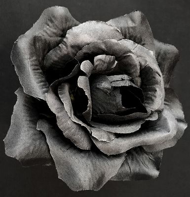 Pensasruusu tekokukkapää, musta