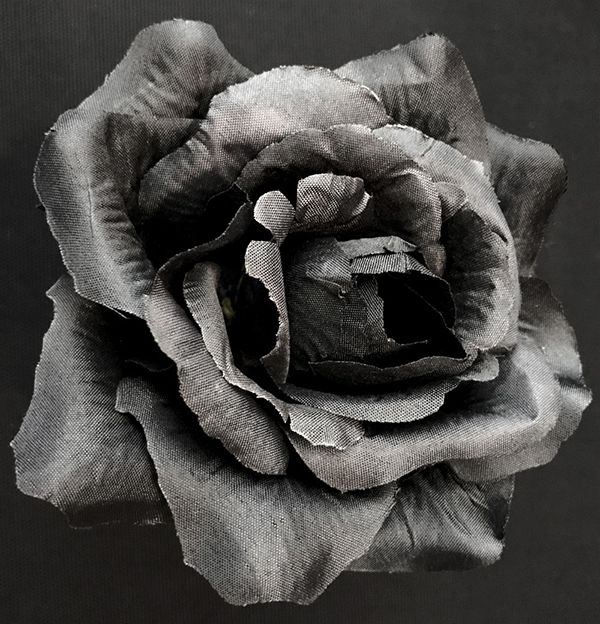 Pensasruusu tekokukkapää, musta