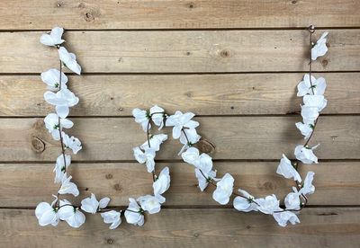 Orkidea tekoköynnös, valkoinen Orkidea tekoköynnös, valkoinen