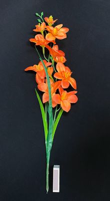 Orkidea teko-oksa, oranssi