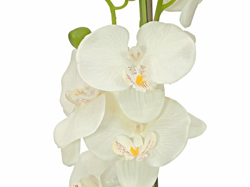 Orkidea tekokasvi ruukussa 80cm, kerma