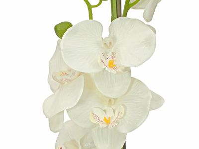 Orkidea tekokasvi ruukussa 80cm, kerma