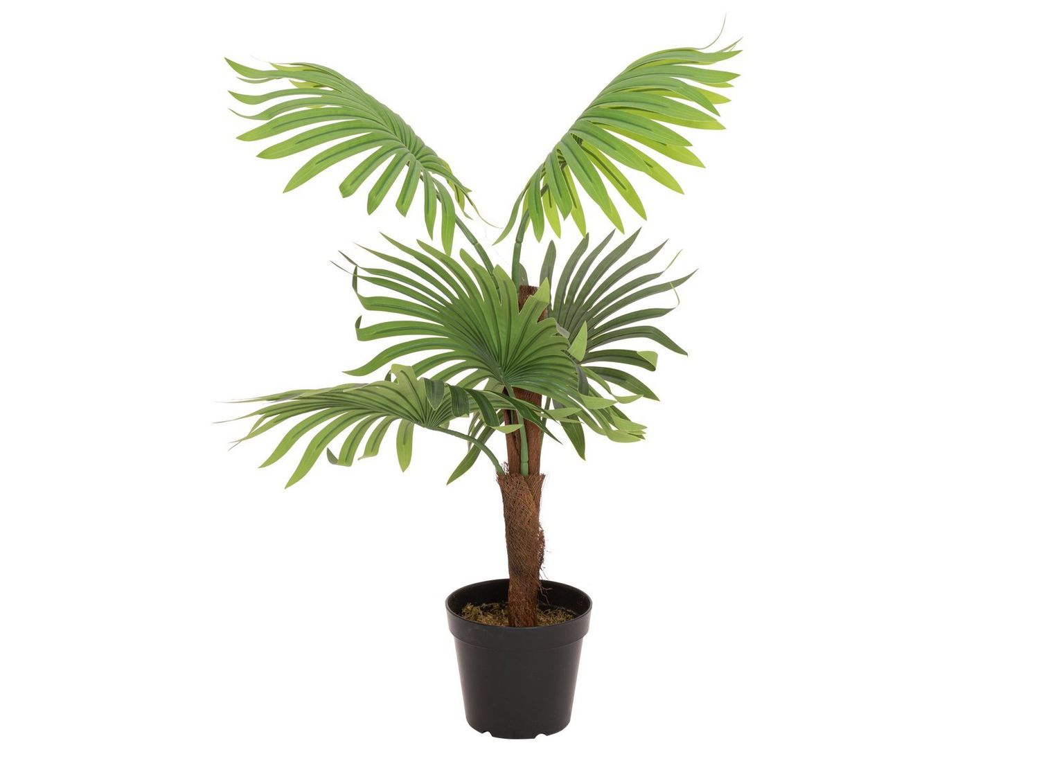 Kääpiöpalmu -tekopalmu 85cm