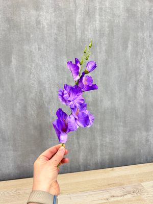 Miekkalilja tekokukka, violetti