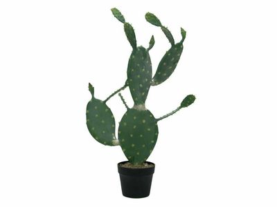 Opuntiakaktus (Nopal) tekokasvi ruukussa 76cm