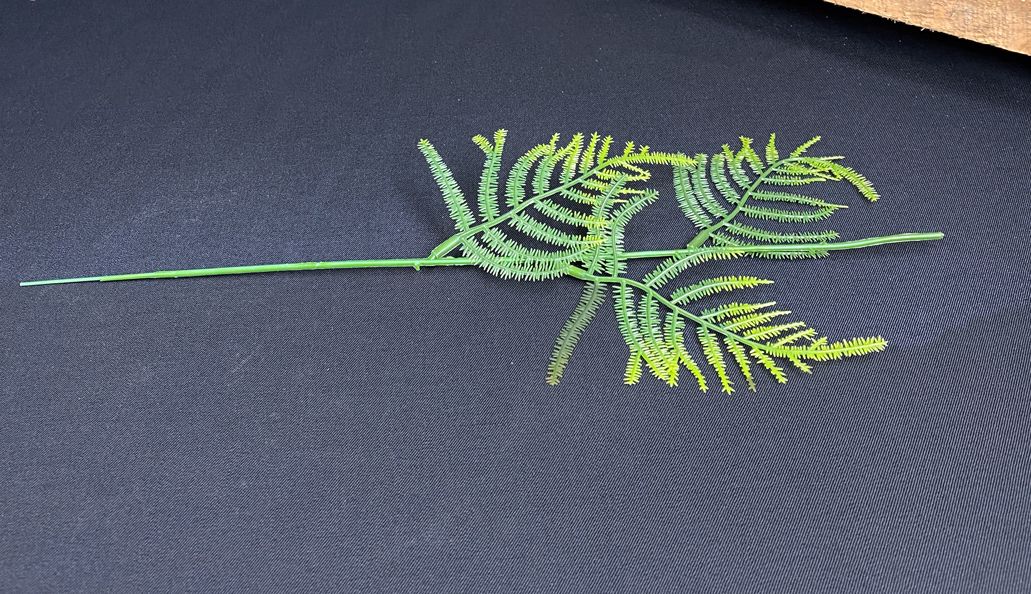 Kukkavarsi keinotekoinen, saniaisen lehdet