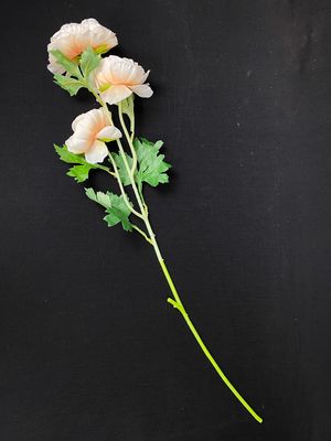 Kamelia tekokukka, persikka