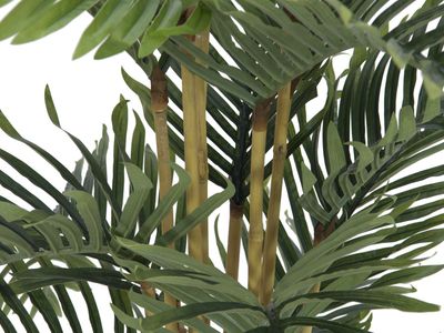 Kentia -tekopalmu 140cm