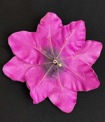 Kestokukkapää kärhö, violetti