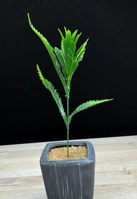 Koristeheinä Vihreä tekoheinä