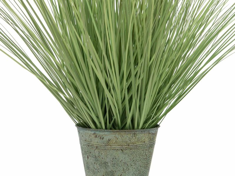 Koristeheinäkasvi ruukussa 70cm