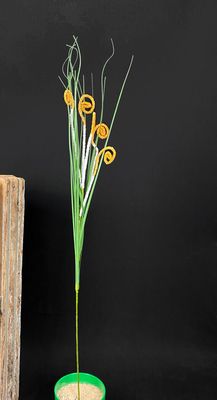 Koristeheinä 82cm, oranssi