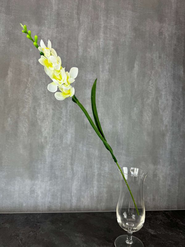 Freesia tekokukka, valkoinen/vihreä