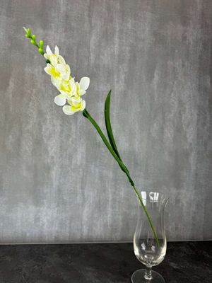 Freesia tekokukka, valkoinen/vihreä