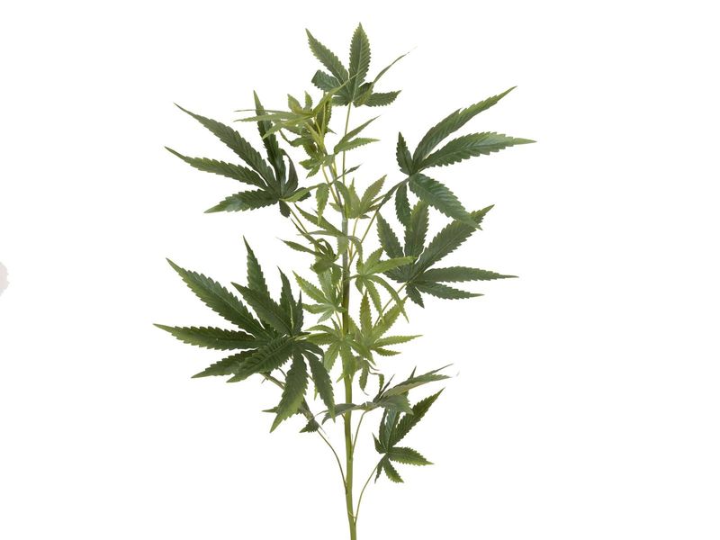 Hamppu tekolehti 90cm
