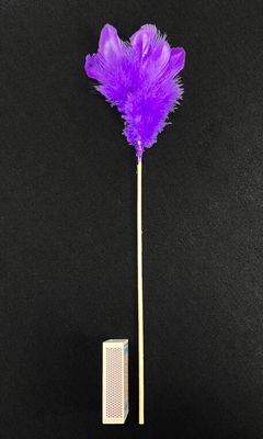 Höyhenkoriste, violetti