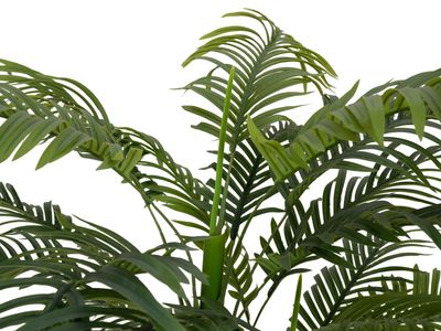 Areca -tekopalmu ruukussa 120cm