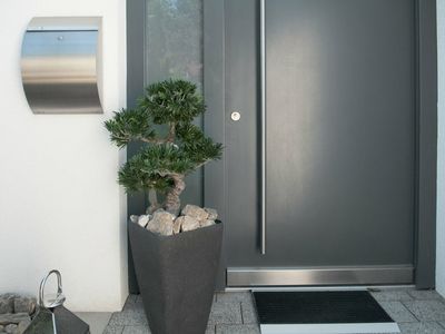 Bonsai tekokasvi ruukussa 80cm