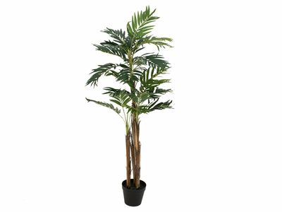 Areca -tekopalmu ruukussa 110cm