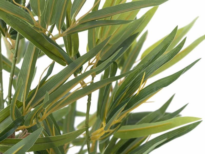 Bambu tekokasvi - 120cm