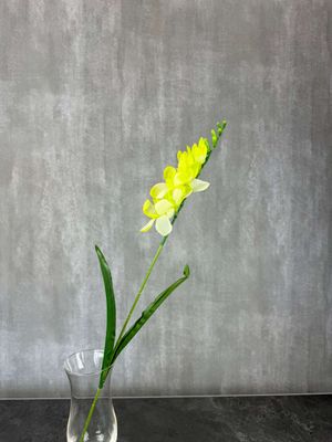 Freesia tekokukka, vaaleanvihreä