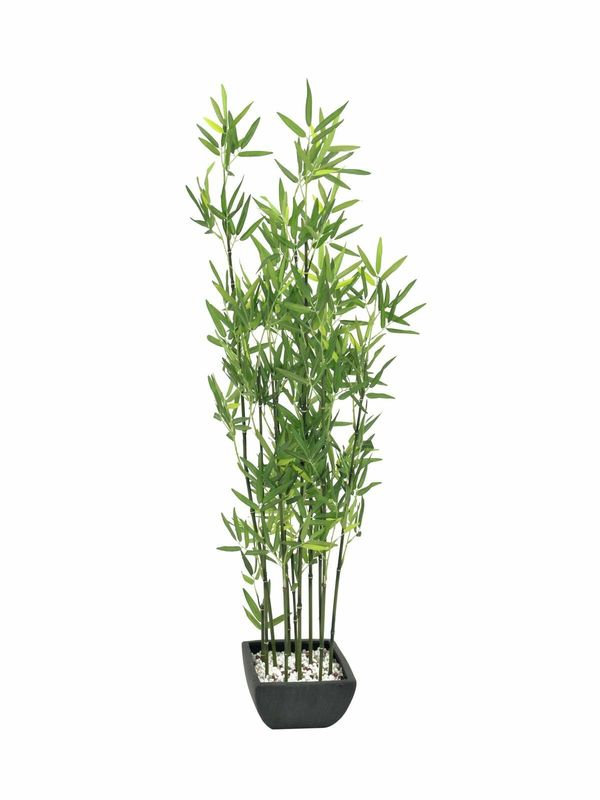 Bambu tekokasvi koristeruukussa 120cm