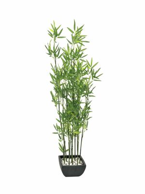 Bambu tekokasvi koristeruukussa 120cm