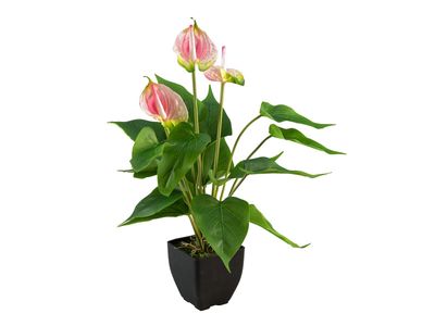 Flamingokukka 40cm, tekokasvi ruukussa