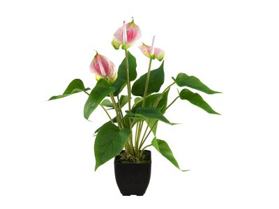 Flamingokukka 40cm, tekokasvi ruukussa