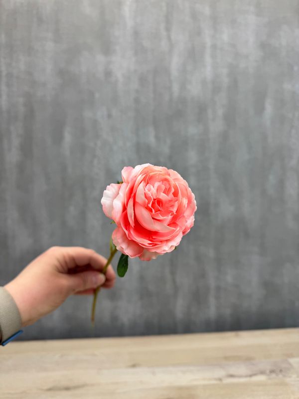 Pioniruusu tekokukka, vaaleanpunainen/rosa