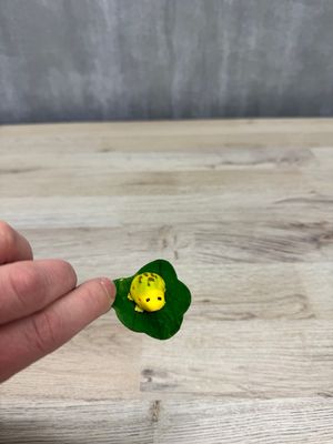 Sammakkokoriste, keltavihreä