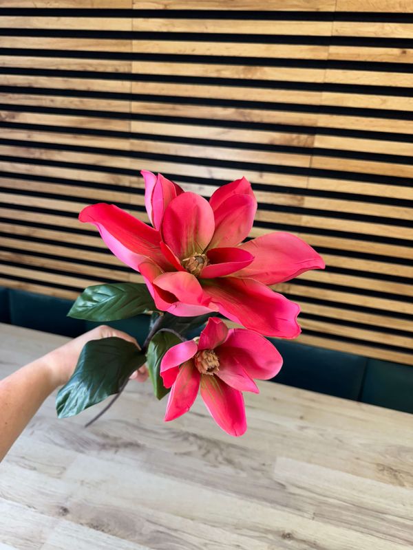 Magnolia tekokukka, pinkki