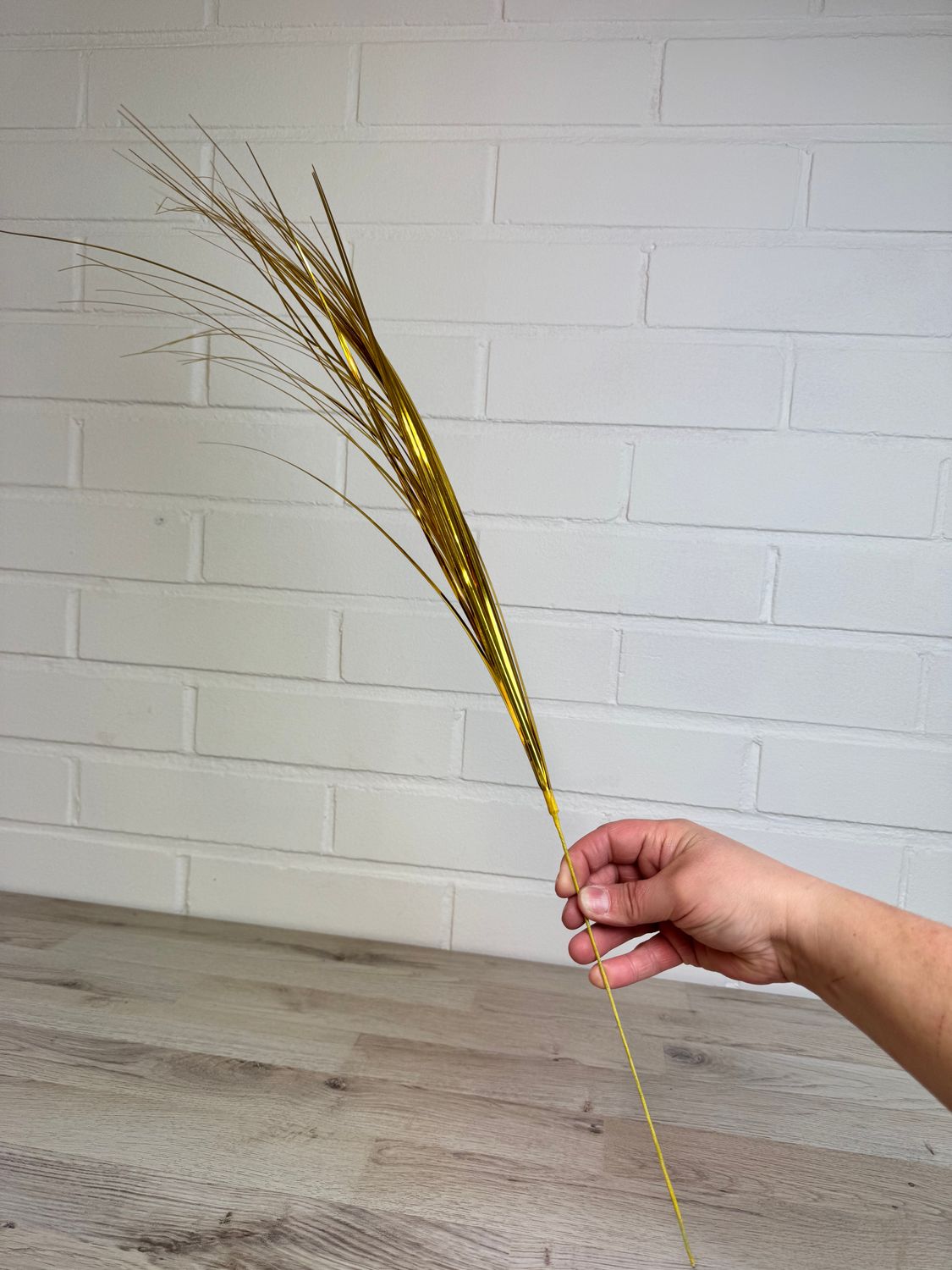 Koristeheinä kulta, 6kpl kimppu