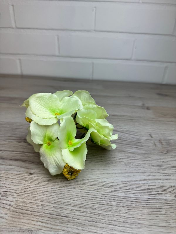 Hortensia kestokukkapää, vaalean vihreä