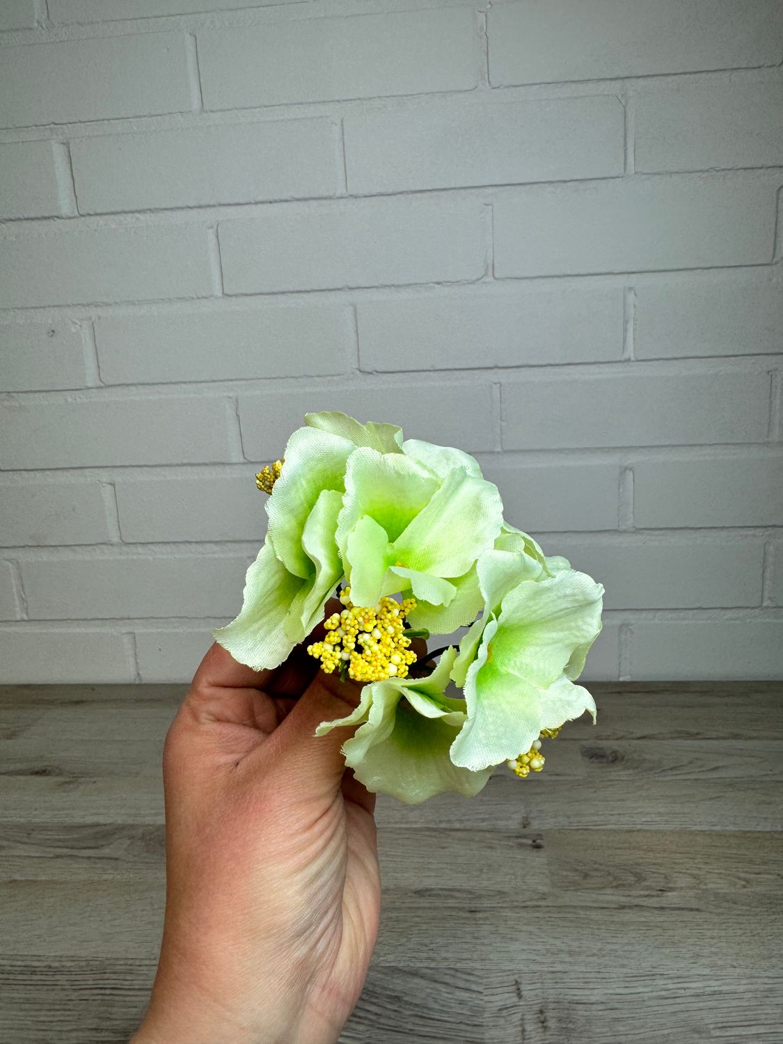 Hortensia kestokukkapää, vaalean vihreä