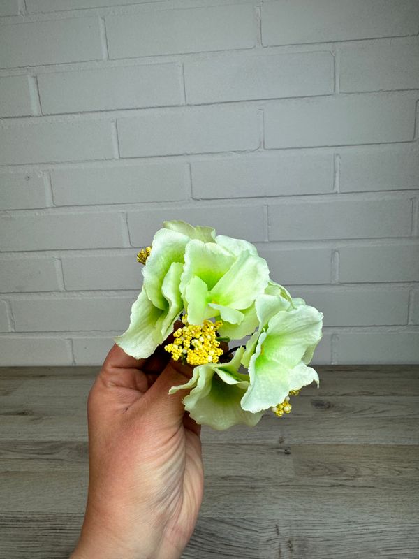 Hortensia kestokukkapää, vaalean vihreä Hortensia kestokukkapää, vaalean vihreä
