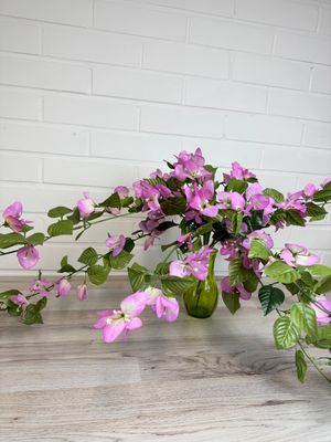 Bougainvillea amppeli tekokasvi, vaaleanvioletti