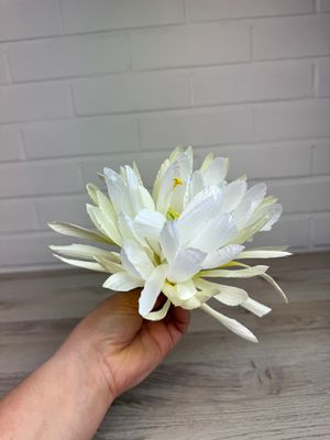 Rosettipensaan tekokukka, valkoinen/keltainen