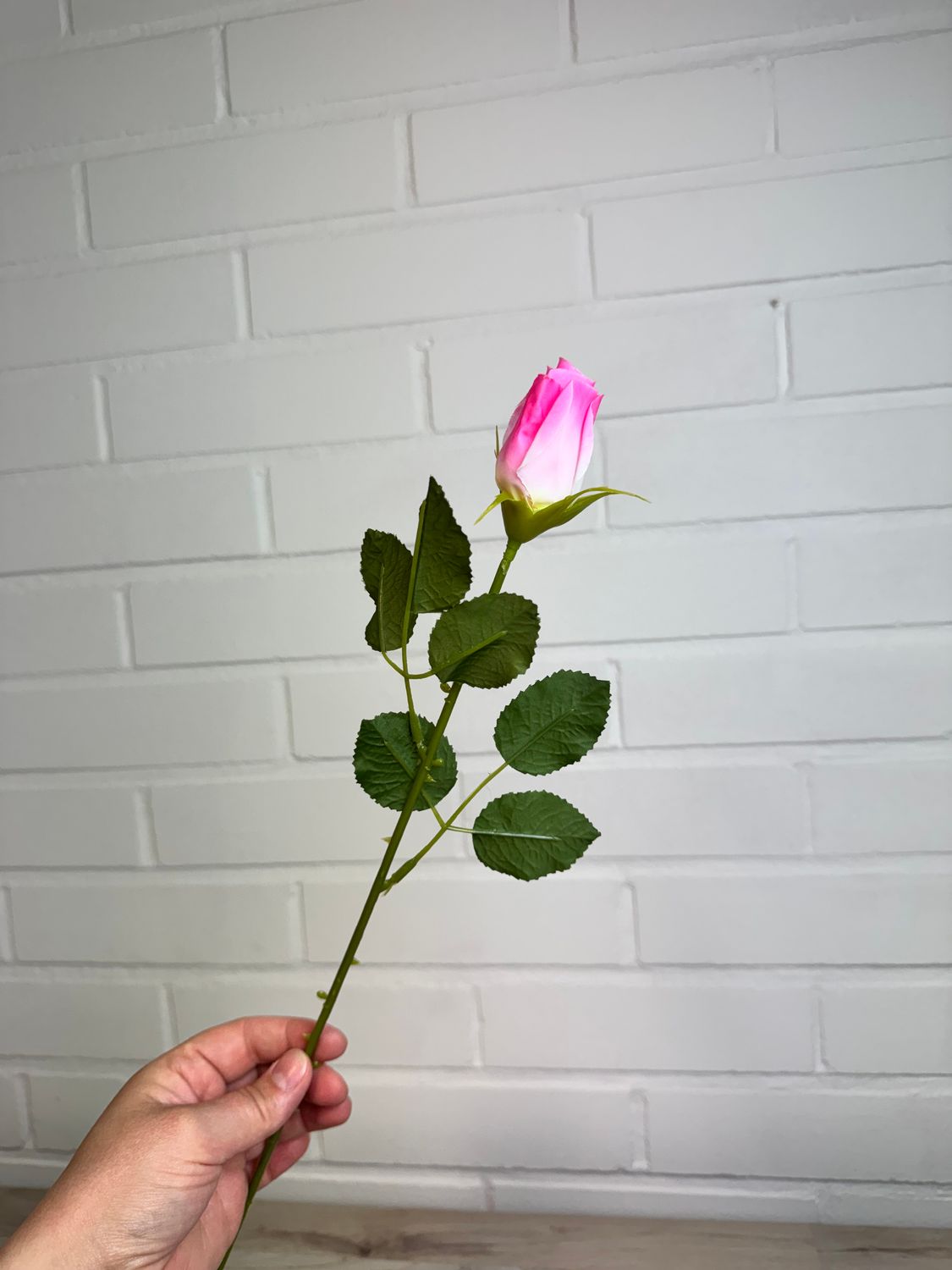 Tekoruusu nupussa, vaaleanpunainen