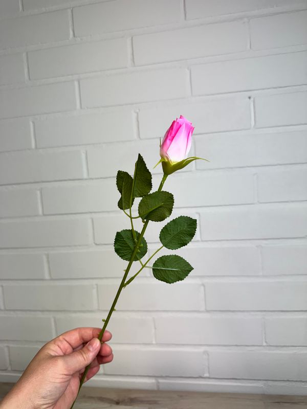 Tekoruusu nupussa, vaaleanpunainen